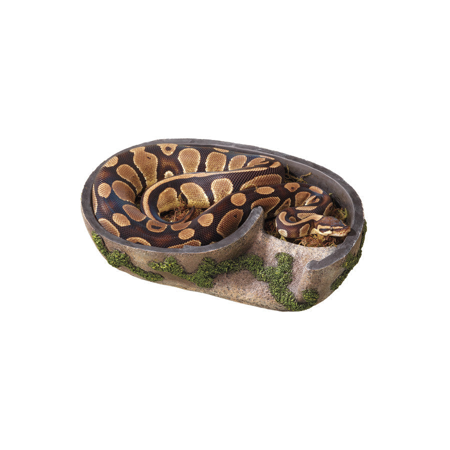 X-Large Zilla Rock Lair textured humid hide detail