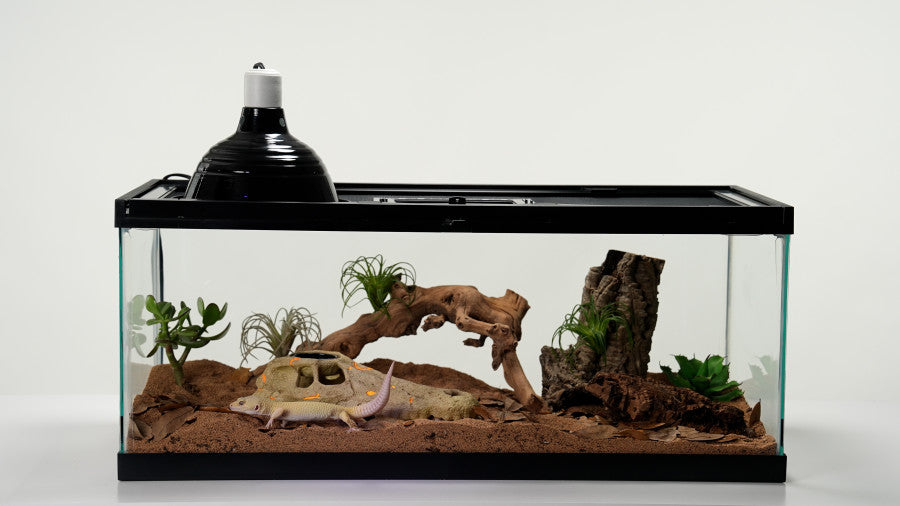 Zilla Rapid Sense UV-Detecting décor usage information