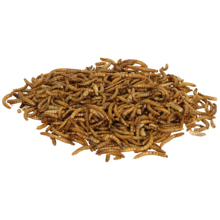 Zilla Reptile Munchies Mealworms product detail