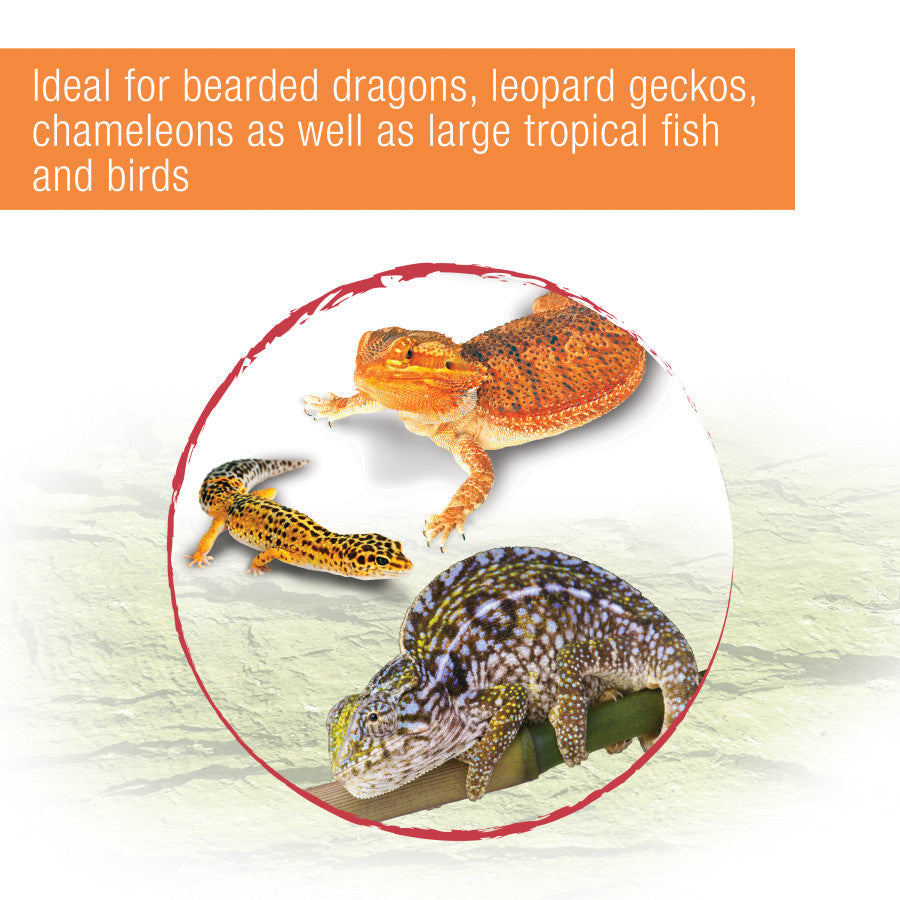 Zilla Reptile Munchies Mealworms package information