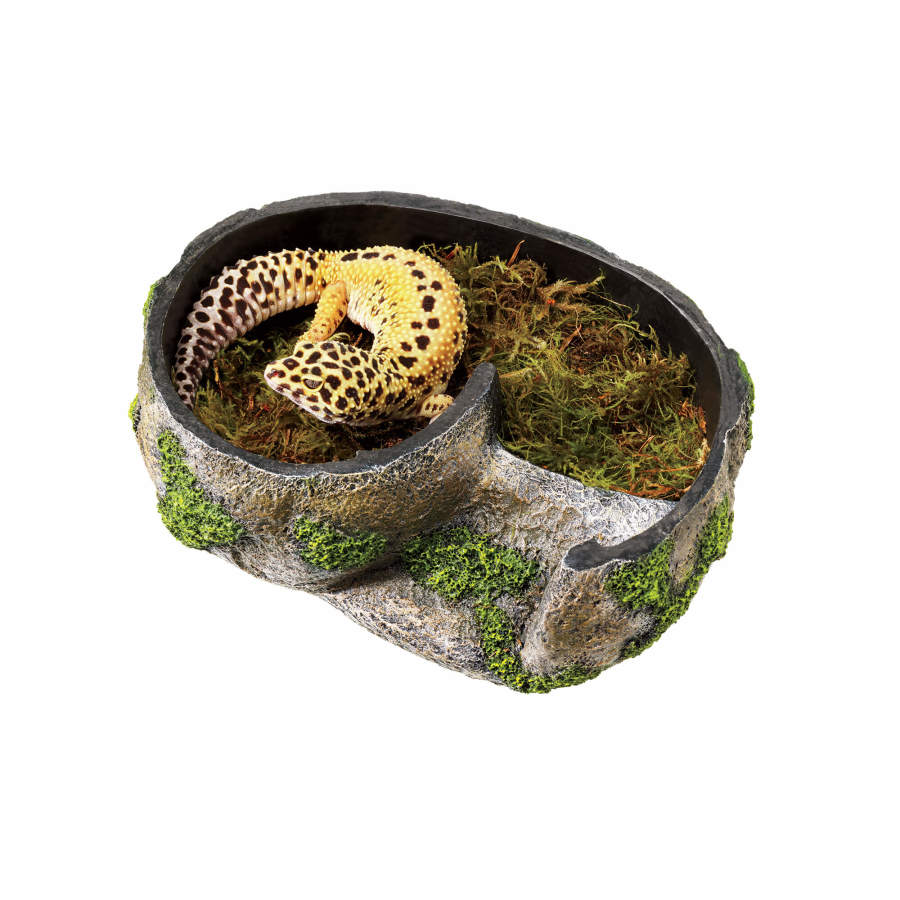 Medium Zilla Rock Lair side entrance and textured exterior
