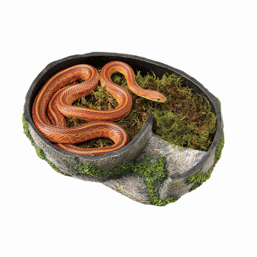 Large Zilla Rock Lair side entrance and textured exterior