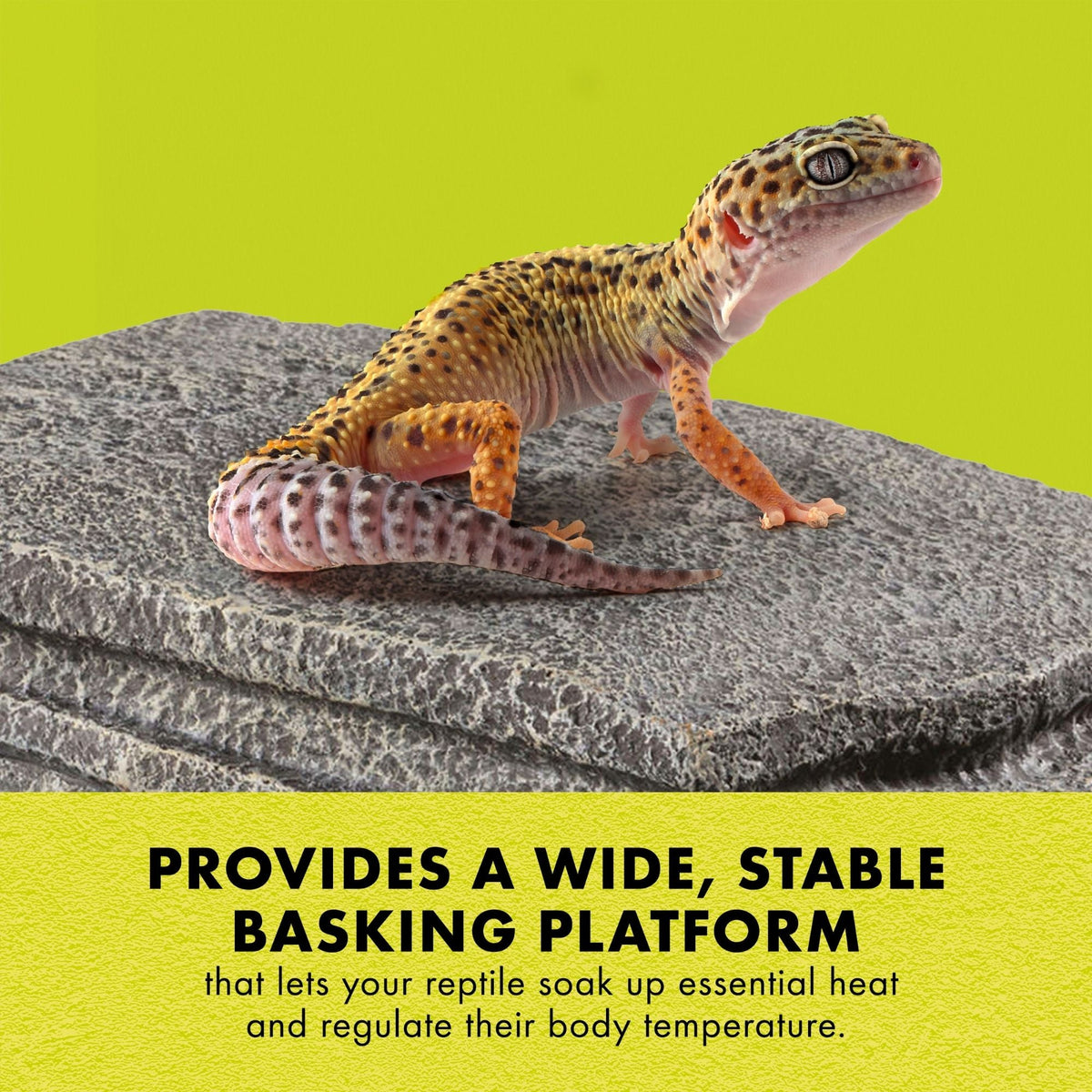 Medium Zilla Herp Hotel showing shallow climbing steps