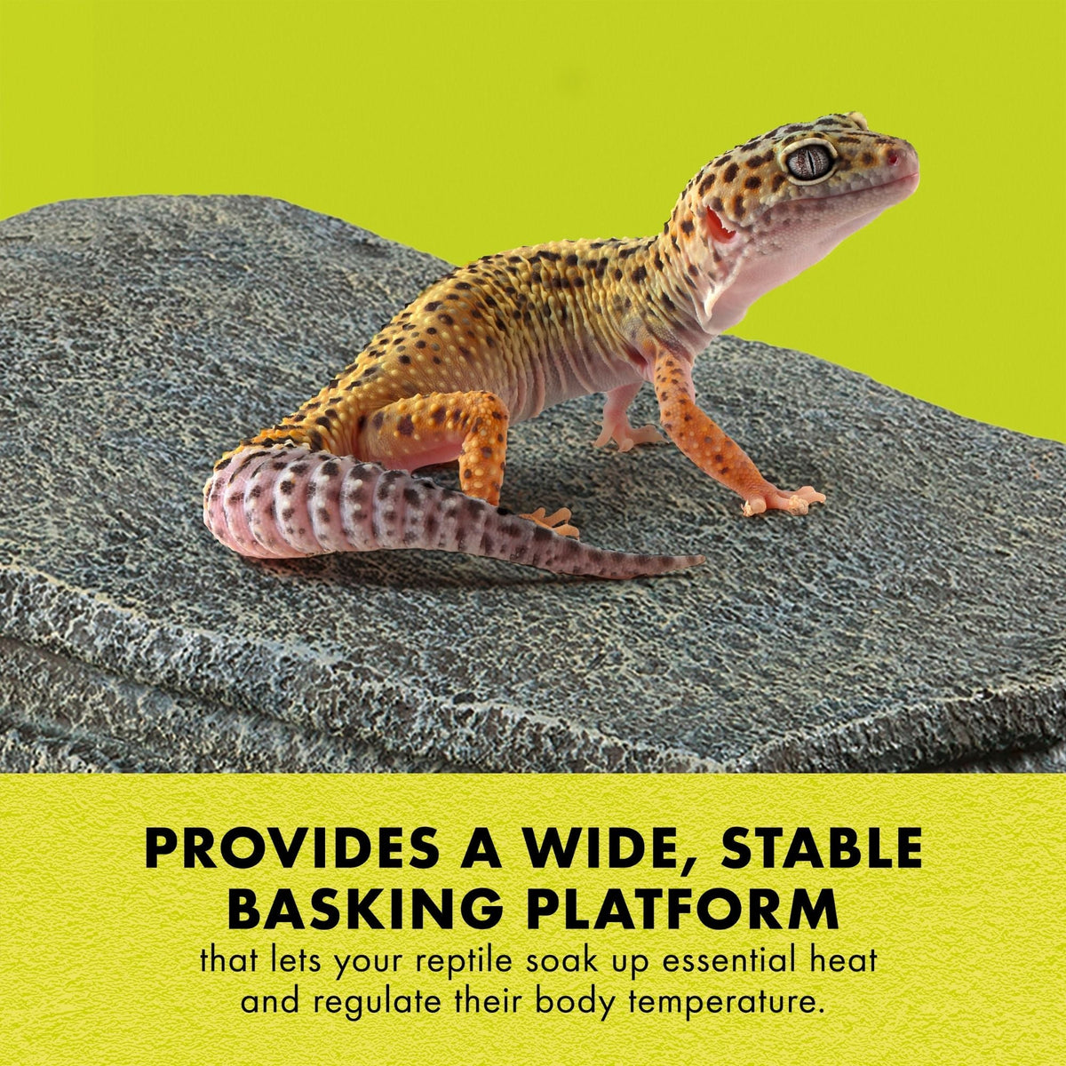 Large Zilla Herp Hotel showing shallow climbing steps