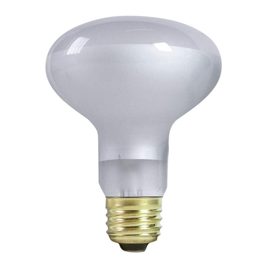 Zilla Day White Incandescent Reptile Spot Bulb — 100W