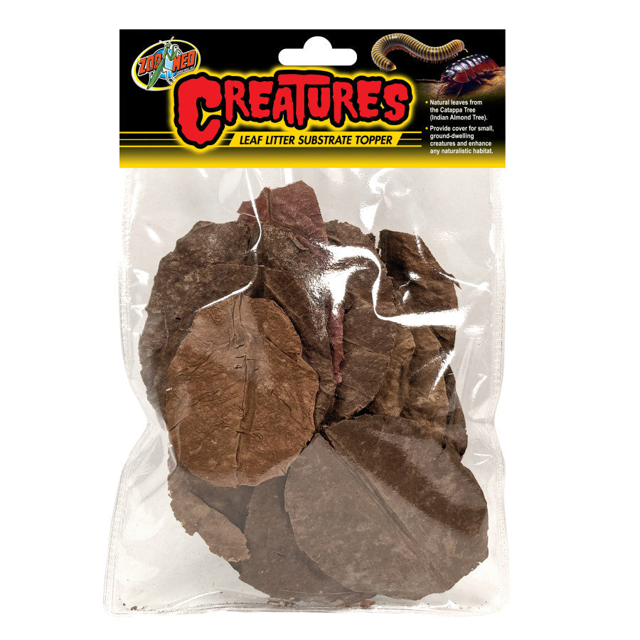 Zoo Med Creatures Leaf Litter – Catappa Leaves