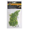 Zoo Med Natural Bush Bolivian Croton terrarium plant — small 14 in