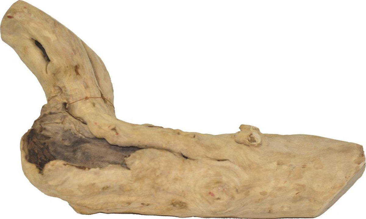 A&E Java Wood medium natural reptile climbing branch