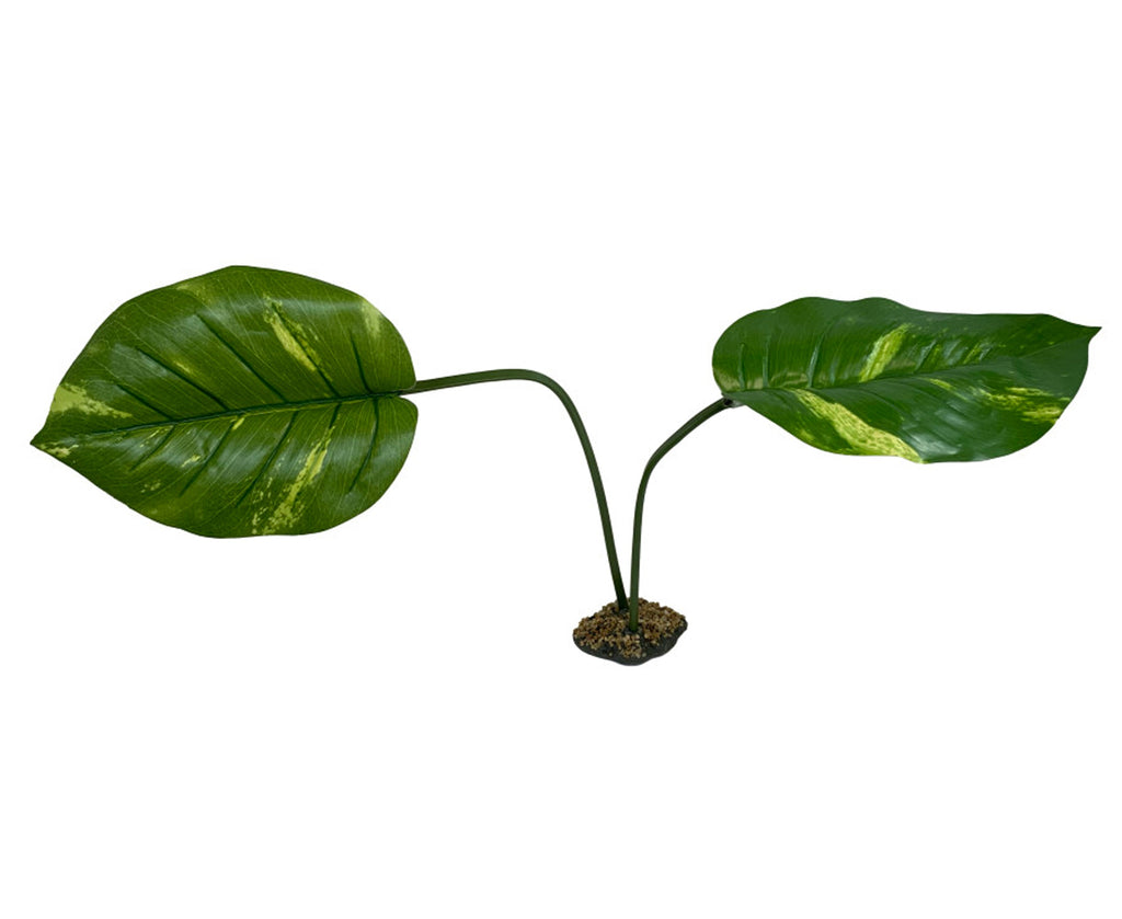 Komodo Guiana jumbo 27-inch artificial terrarium plant