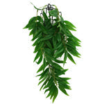 Komodo Bamboo hanging terrarium plant with suction cups