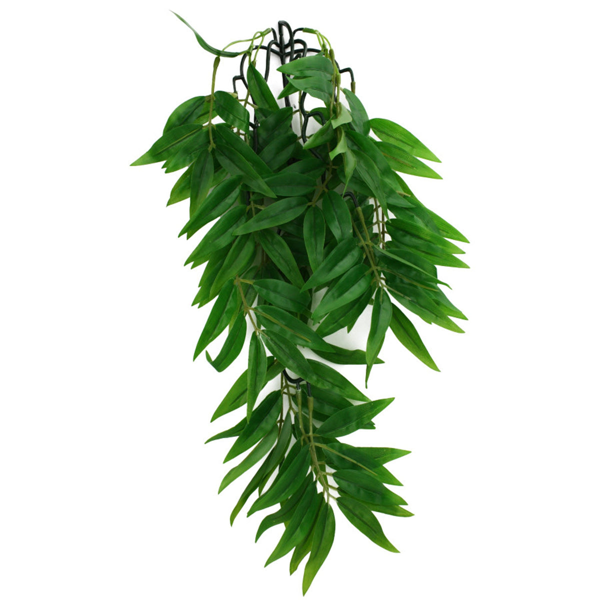 Komodo Bamboo 16-inch hanging terrarium plant