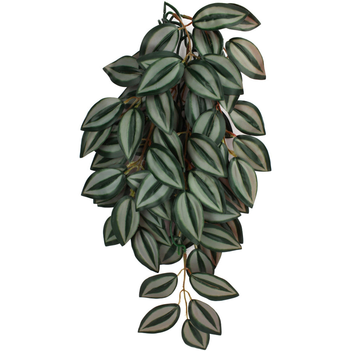Komodo Zebrina 16-inch hanging terrarium plant